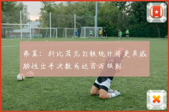 弗莱：科比若无打铁统计将更具威胁性出手次数或达百万级别
