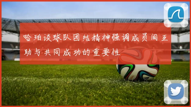 哈珀谈球队团结精神强调成员间互助与共同成功的重要性