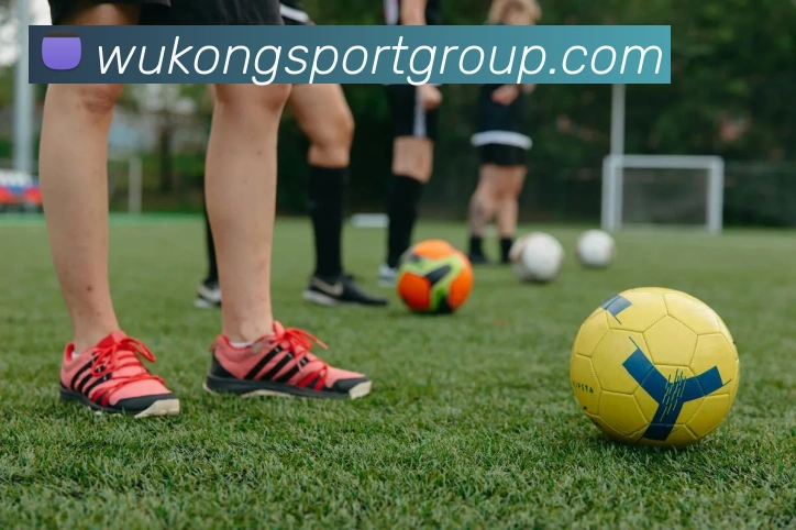 悟空体育平台生态图